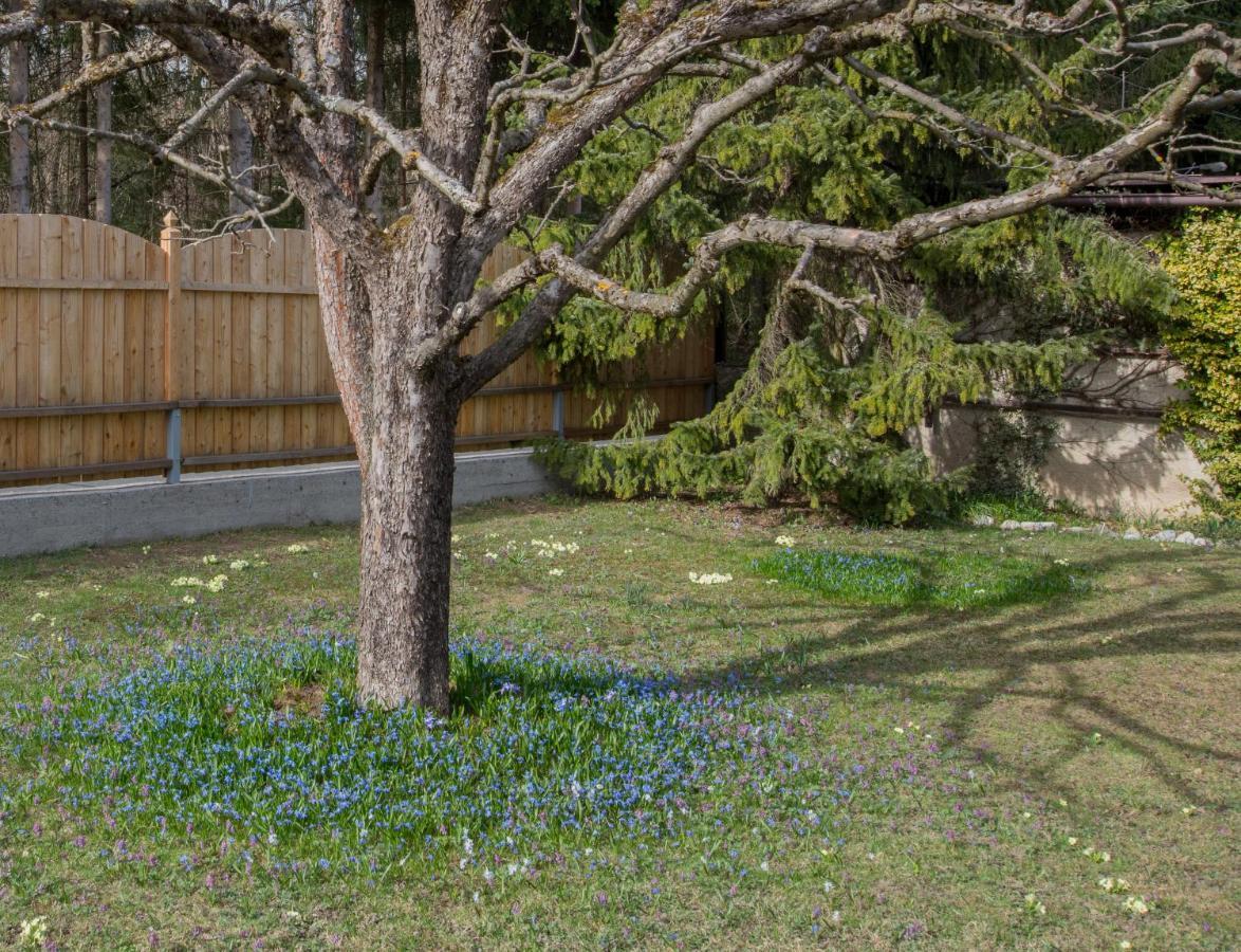 Garten Appartement Harmony Finkenstein am Faaker See Exterior photo