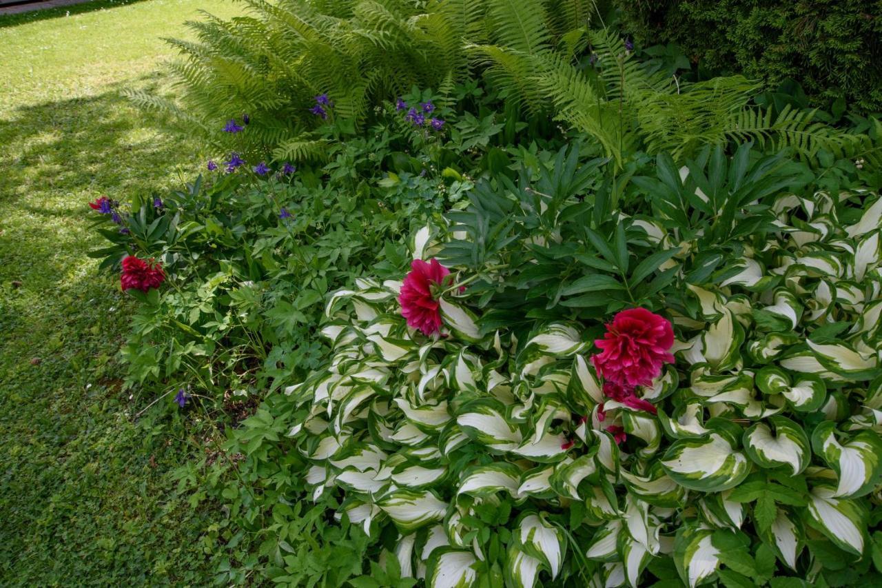 Garten Appartement Harmony Finkenstein am Faaker See Exterior photo